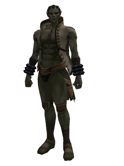 Feriotic (robe) on a male Orc mystic, front view