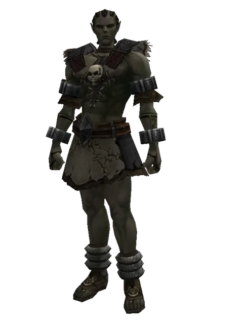 Set of Knowledge on a male Orc mystic, front view