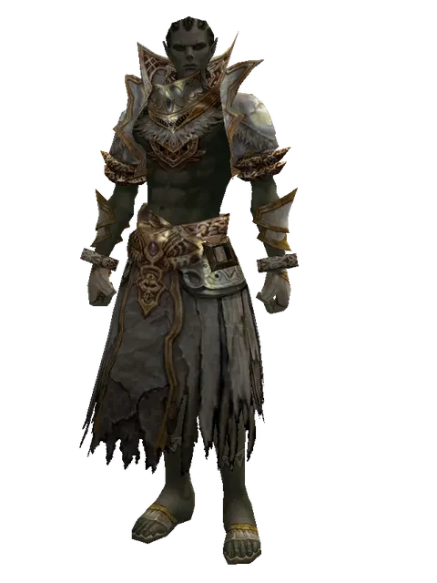 Majestic Robe Set on a male Orc mystic, front view