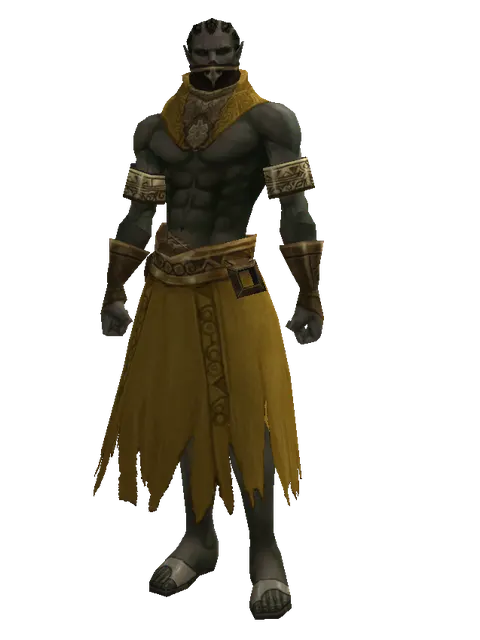Mithril Set - Robe on a male Orc mystic, front view