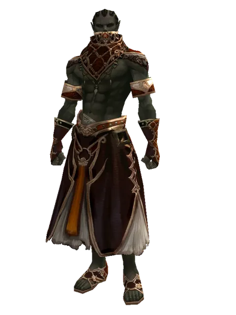 Robe of Nightmare Set on a male Orc mystic, front view