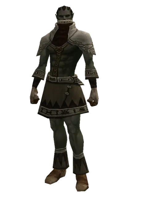 Sage's (robe) on a male Orc mystic, front view