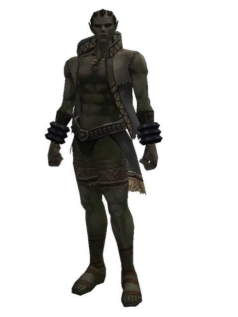 No Name (robe) on a male Orc mystic, front view