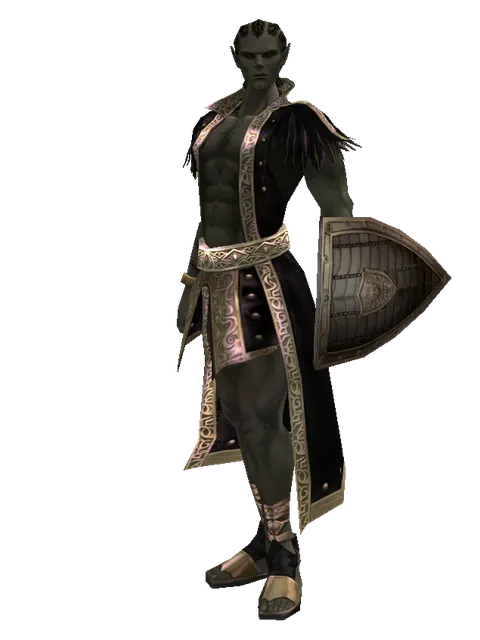 Chain Shield on a male Orc mystic, front view