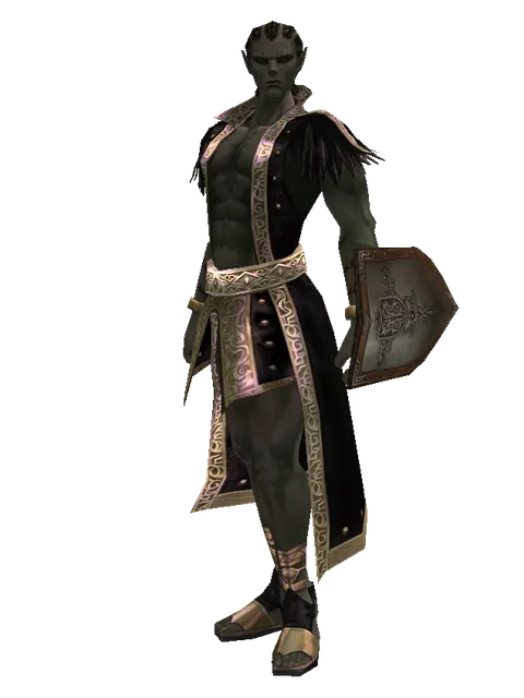 Dwarven Chain Shield on a male Orc mystic, front view