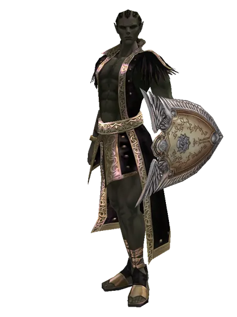 Imperial Crusader Shield on a male Orc mystic, front view