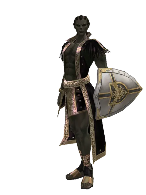 Knight's Shield on a male Orc mystic, front view
