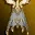 Cloak of Odal