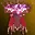 Cloak of Berserk