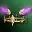 Purple Angel Nimbus