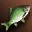 Large-Mouth Bass - Event