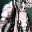 Enchanted Major Arcana Suit