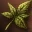 Magic Plant