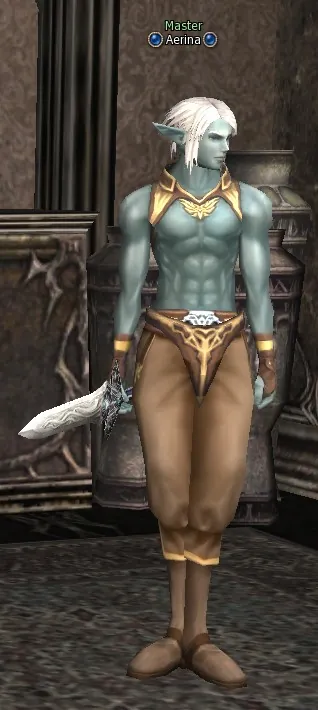 Aerina in Lineage 2 Interlude