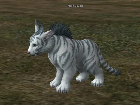 Alpen Cougar in Lineage 2 Interlude