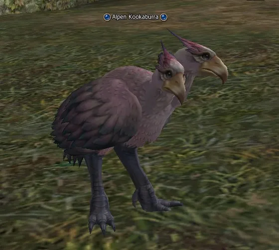 Alpen Kookaburra in Lineage 2 Interlude