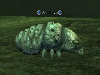Ant Larva in Lineage 2 Interlude
