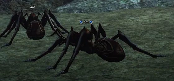 Ant in Lineage 2 Interlude