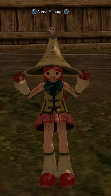 Arena Manager in Lineage 2 Interlude