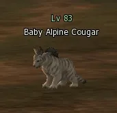 Baby Alpine Cougar in Lineage 2 High Five