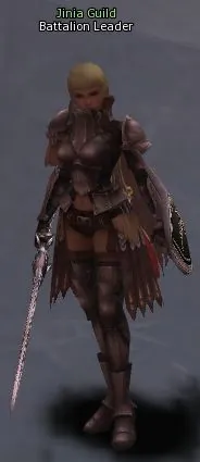 Battalion Leader in Lineage 2 High Five