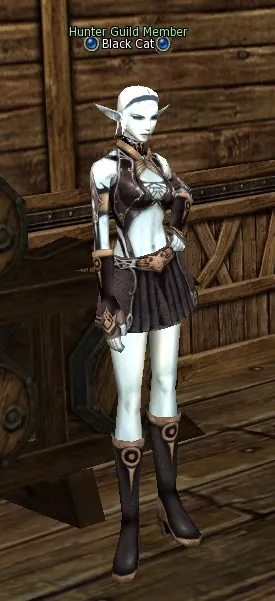 Black Cat in Lineage 2 Interlude