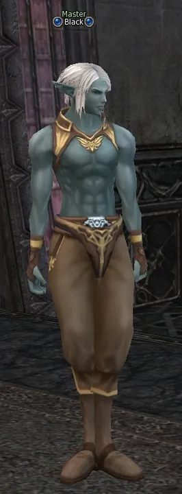 Black в Lineage 2 High Five