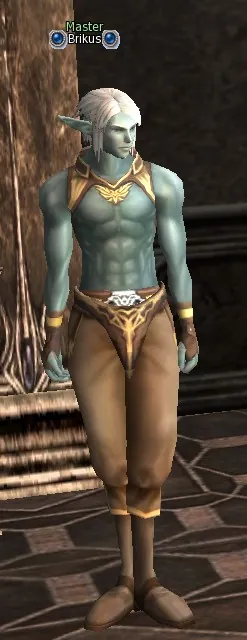 Brikus in Lineage 2 Interlude