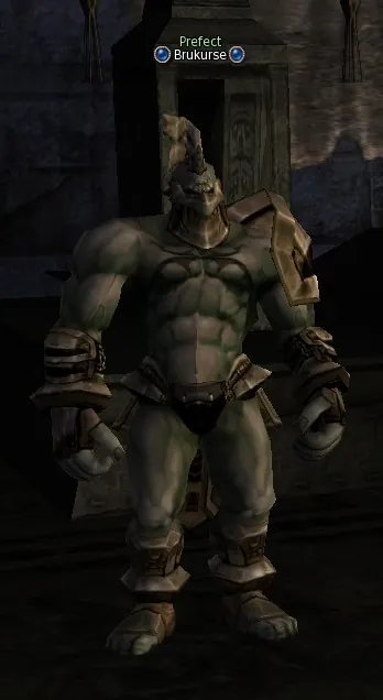 Brukurse in Lineage 2 High Five