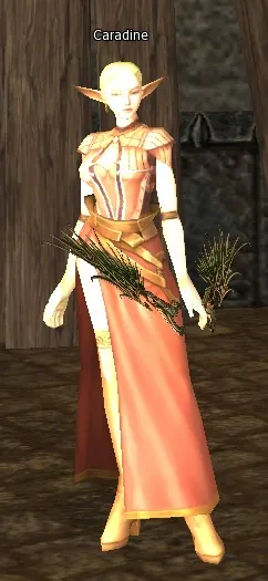 Caradine in Lineage 2 Interlude