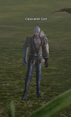 Caravaner Gort in Lineage 2 High Five