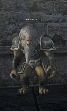 Chamberlain in Lineage 2 Interlude