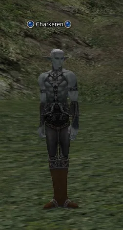 Charkeren in Lineage 2 Interlude