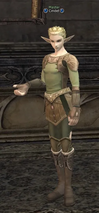 Cindet en Lineage 2 High Five