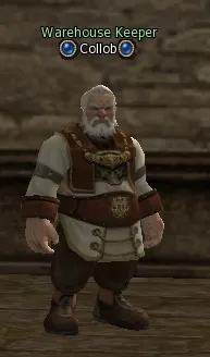 Collob in Lineage 2 Interlude