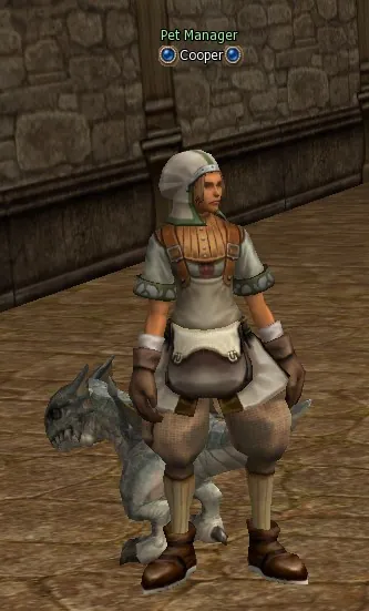 Cooper в Lineage 2 High Five
