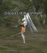 Disciples of Punishment in Lineage 2 High Five