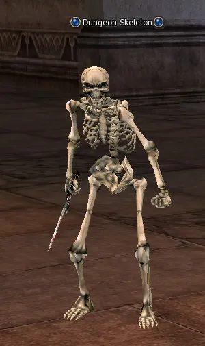 Dungeon Skeleton in Lineage 2 High Five