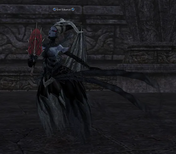 Erin Ediunce in Lineage 2 High Five