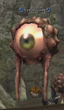 Eye of Guide in Lineage 2 Interlude