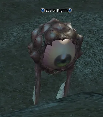 Eye of Pilgrim in Lineage 2 High Five