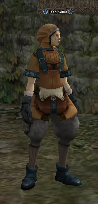 Feed Seller in Lineage 2 High Five