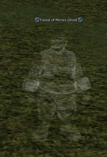 Forest of Mirrors Ghost in Lineage 2 High Five