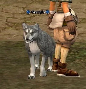 Georgio no Lineage 2 High Five