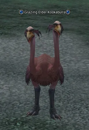 Grazing Elder Kookaburra in Lineage 2 Interlude