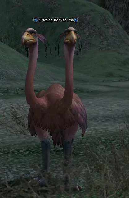 Grazing Kookaburra in Lineage 2 Interlude
