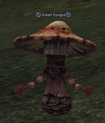 Green Fungus in Lineage 2 Interlude