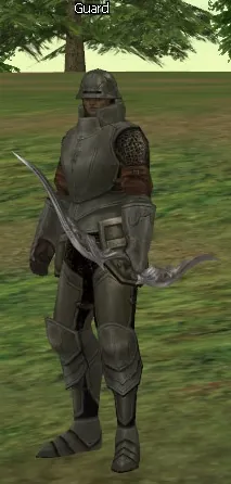 Guard в Lineage 2 Interlude