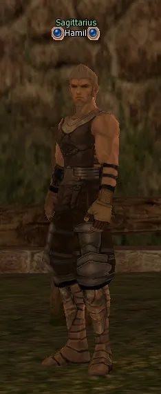 Hamil в Lineage 2 Interlude