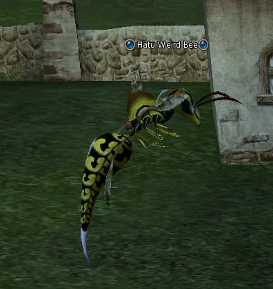 Hatu Weird Bee in Lineage 2 High Five